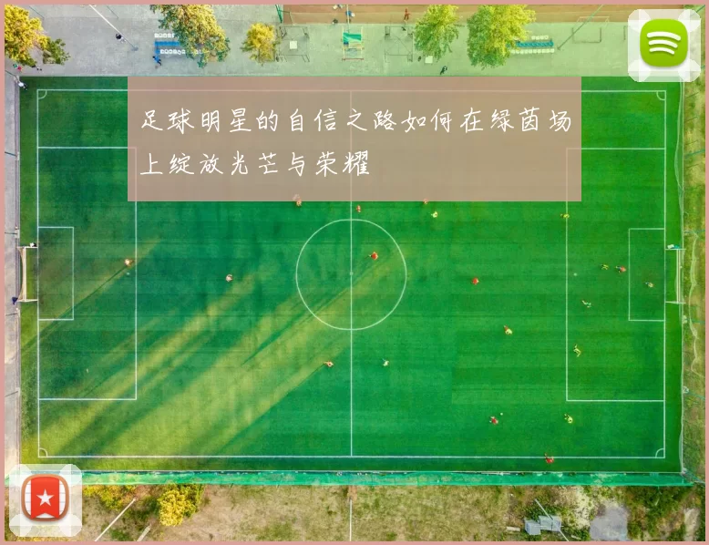 足球明星的自信之路如何在绿茵场上绽放光芒与荣耀