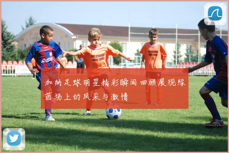 加纳足球明星精彩瞬间回顾展现绿茵场上的风采与激情