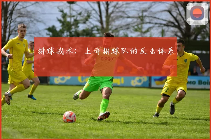 排球战术：上海排球队的反击体系